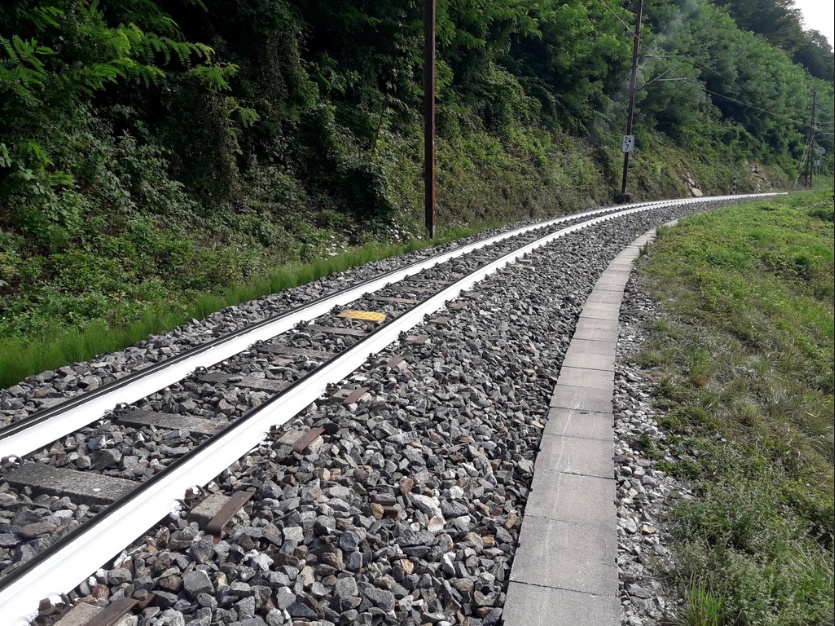 Weiße Schienen der Mariazeller Bahn